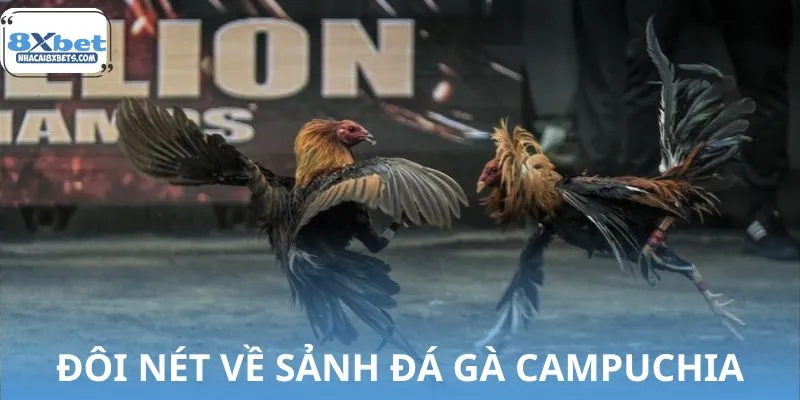 Giới thiệu về hình thức đá gà Campuchia online